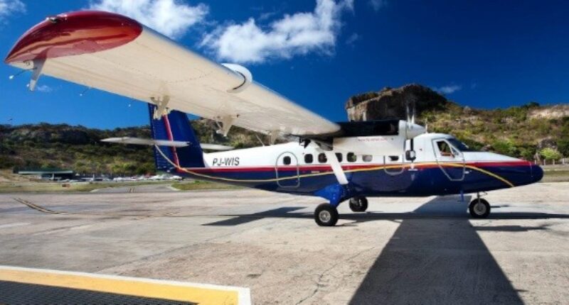 DA 2 bleu blanc et rouge sur le tarmac