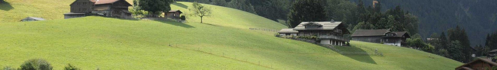 Parigi - Gstaad : noleggio jet privato 