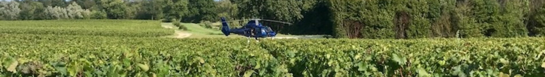 Scoprite i vigneti in elicottero