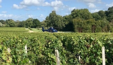 Scoprite i vigneti in elicottero