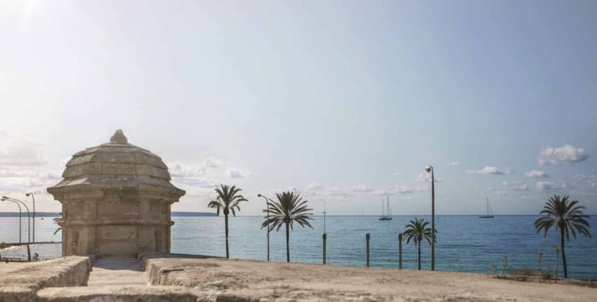 Location de tour de guet en bord de mer, palmiers, voiliers.