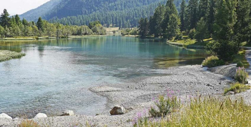 Un lac serein avec des arbres et des montagnes.