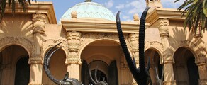 Johannesburg : noleggio di jet privati 
