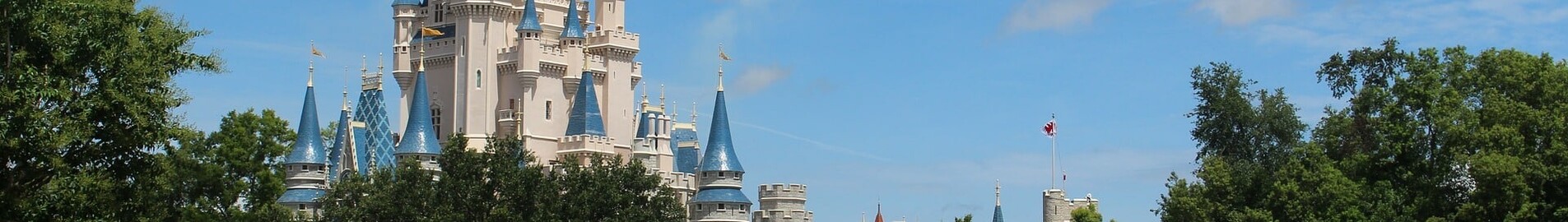 Orlando : noleggio di jet privati 