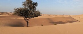 Abu Dhabi: noleggio di jet privati 