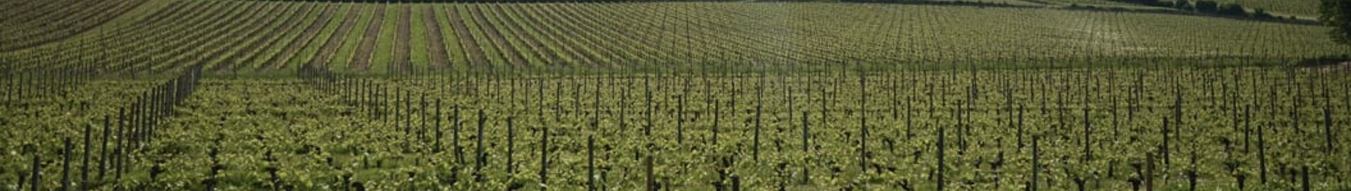 Bordeaux Mérignac: noleggio di jet privati 