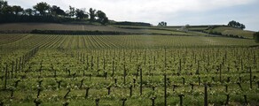 Bordeaux Mérignac: noleggio di jet privati 