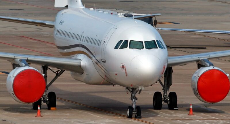 AIRBUS A319 : noleggio jet privato