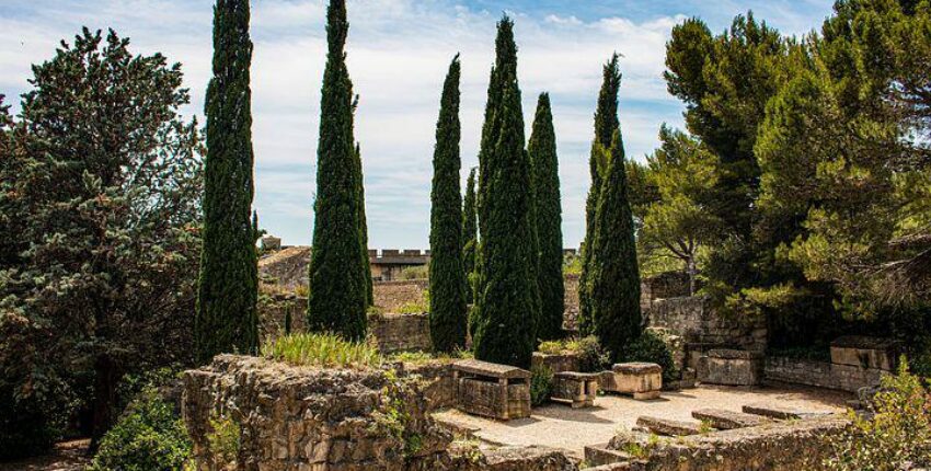 arbres provençaux au milieu de roches à Avignon