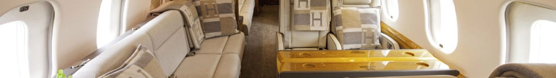 Il jet privato da 33 milioni di euro di Céline Dion: tutto quello che c’è da sapere