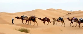 Tunisi: noleggio di jet privati