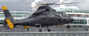 DAUPHIN AS 365 : noleggio elicotteri