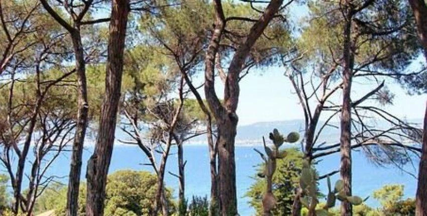 monument napoleon Bonaparte ajaccio