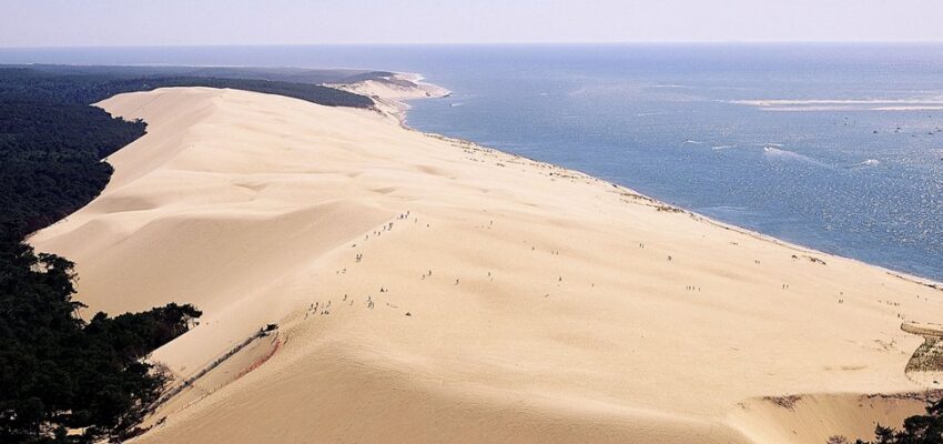 Vue aérienne Dune du Pilat, forêt dense et eau.