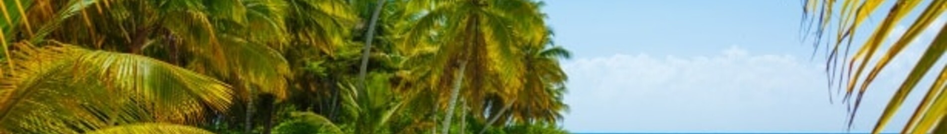 Caraibi: noleggio di jet privati 