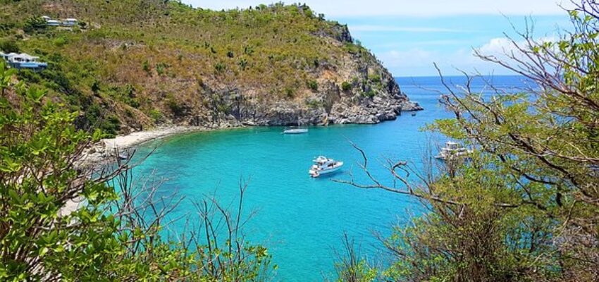 saint barthelemy crique