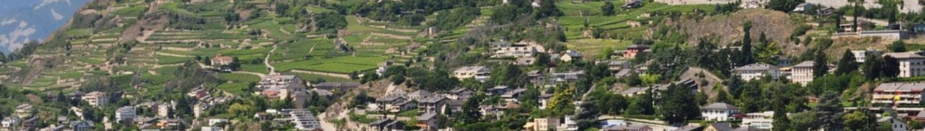 Sion : noleggio di jet privati 