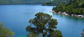 Pula : noleggio di jet privati 