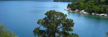 Mljet