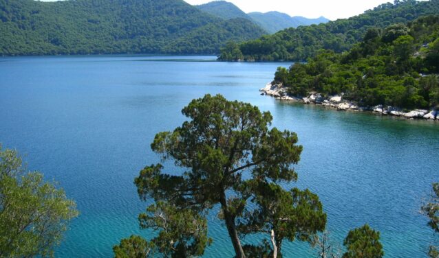 Mljet