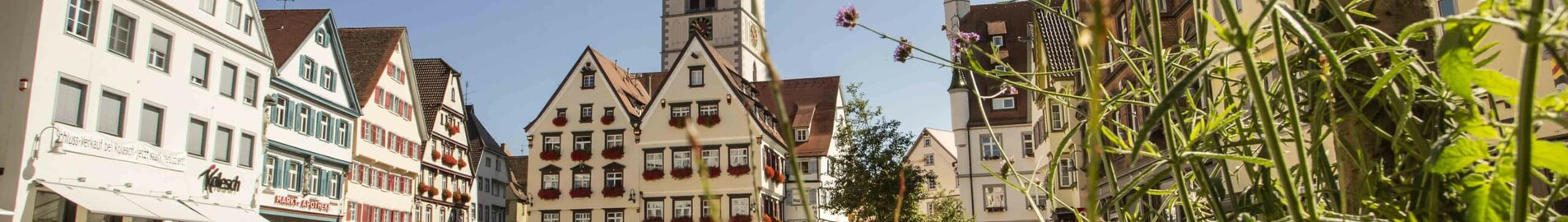 Biberach An Der Riss : noleggio jet privati 
