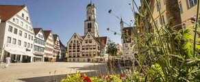 Biberach An Der Riss : noleggio jet privati 