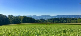 Klosters: noleggio di jet privati 