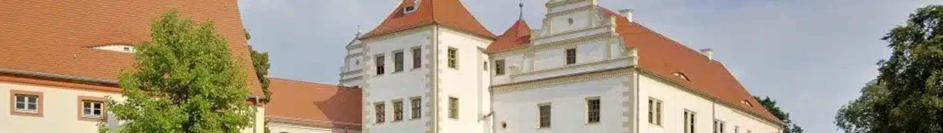 Finsterwalde: noleggio di jet privati 