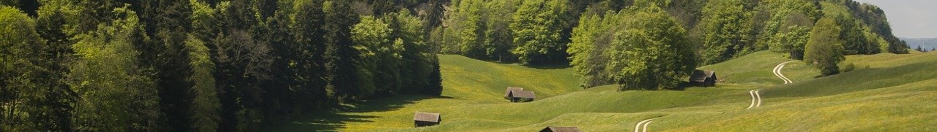 Granges: noleggio di jet privati 
