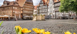 Heringsdorf: noleggio di jet privati 