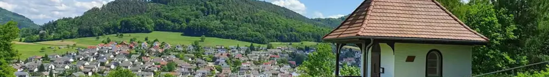 Lahr Foresta Nera: noleggio jet privati 