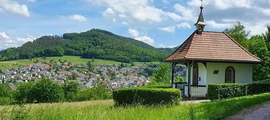 Nuernberg: noleggio di jet privati 