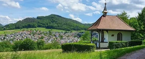Lahr Foresta Nera: noleggio jet privati 
