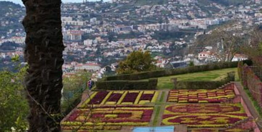 Jardin Botanique, Funchal île de Madère.