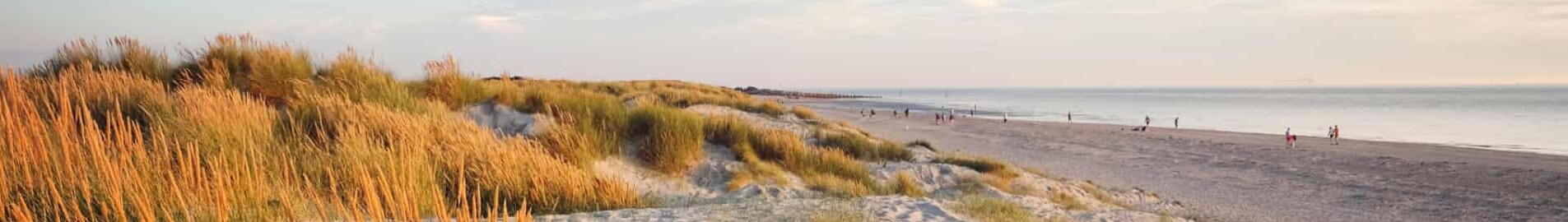 Wittering : noleggio jet privati 