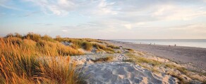 Wittering : noleggio jet privati 