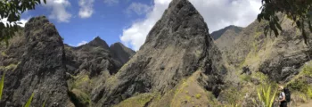 Réunion aventure montagne sentier plantes luxuriantes.