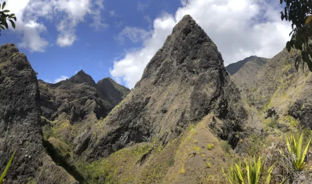 Réunion aventure montagne sentier plantes luxuriantes.