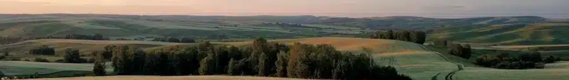 Barnaul : noleggio di jet privati