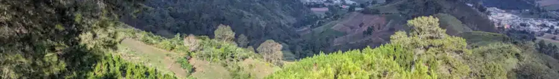 Constanza : noleggio jet privati