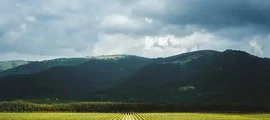 Ostafyevo : noleggio jet privati