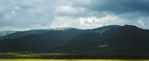 Gelendzhik : noleggio jet privati