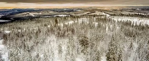 Hagfors : noleggio di jet privati