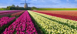 Middelburg Midden Zeeland : posizione del jet privato