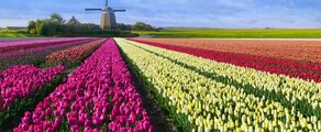 Hoogeveen: posizione di jet privato