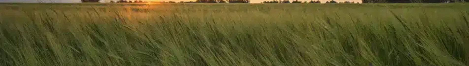Kemerovo : noleggio jet privato