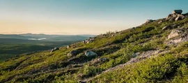 Kramfors Solleftea : noleggio jet privato
