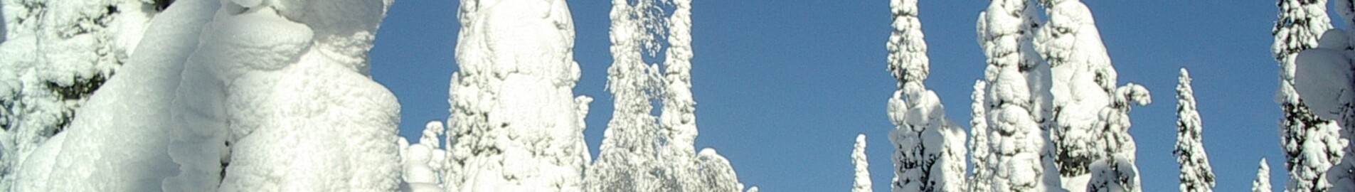 Kuusamo : noleggio jet privati 