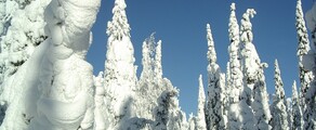 Kuusamo : noleggio jet privati 