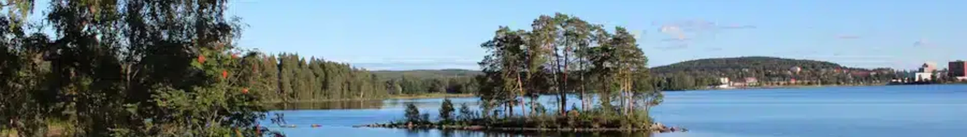 Ludvika: noleggio di jet privati